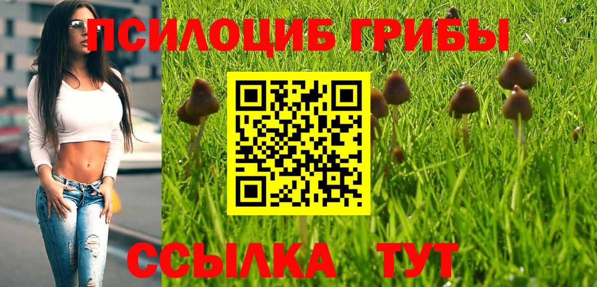 Псилоцибиновые грибы Psilocybine cubensis  купить закладку  Чайковский  Вход с VPN 